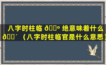 八字时柱临 🌺 绝意味着什么 🌴 （八字时柱临官是什么意思）